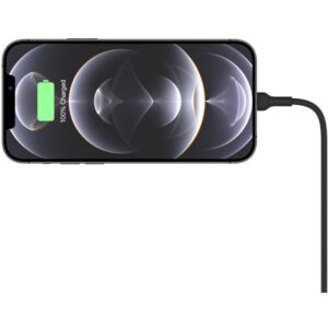 Aksesorë për telefon Belkin Mag. Kfz-Halterung inkl. Ladegerät. zi