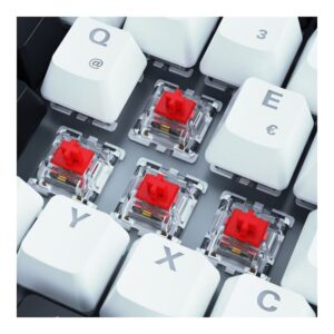 Tastierë Gaming Sharkoon SKILLER SGK50 S3 Gateron Red switches / Wired / QWERTZ / German Language 8