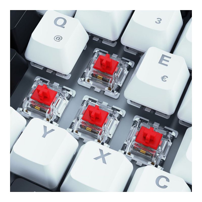 Tastierë Gaming Sharkoon SKILLER SGK50 S3 Gateron Red switches / Wired / QWERTZ / German Language - Figura 3