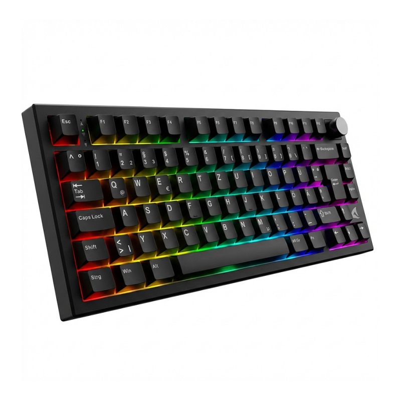Tastierë Gaming Sharkoon SKILLER SGK55W Linear / Wireless / German Language – Zezë