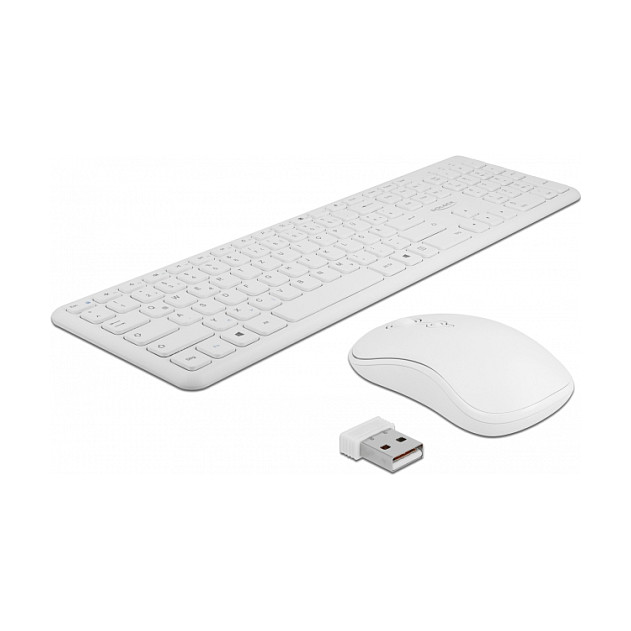 Combo (Tastierë & Maus) Delock / Wireless / QWERTZ / German Language - Bardhë