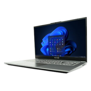 Laptop  Terra Mobile 1717R / i5-1334U / 16GB DDR4 / 1TB / 17.3″ Full HD / Intel Iris Xe Graphics – Gri 6
