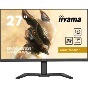 IIYAMA 68.6cm (27") GB2790QSU-B5 16:9 HDMI+DP+USB IPS retail