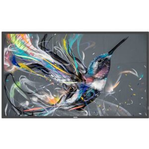 Monitor Philips Q-Line 65BDL3511Q / 65″ / 4K UHD / IPS / 16:9 / 60Hz / HDMI + DVI + USB / Speaker / E zezë