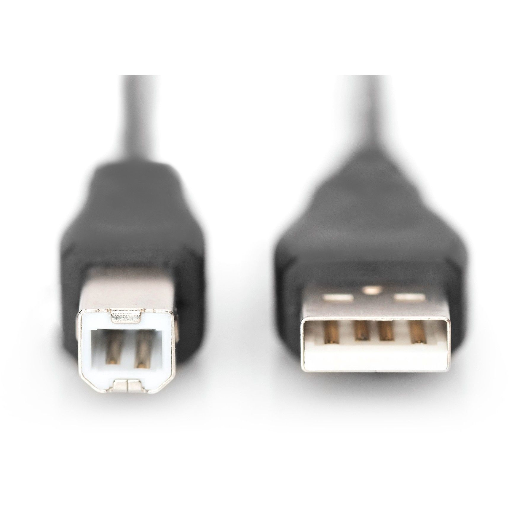 Kabllo USB DIGITUS USB 2.0 Connection Cable Type A–B M/M 1.8m - Zezë - Figura 2