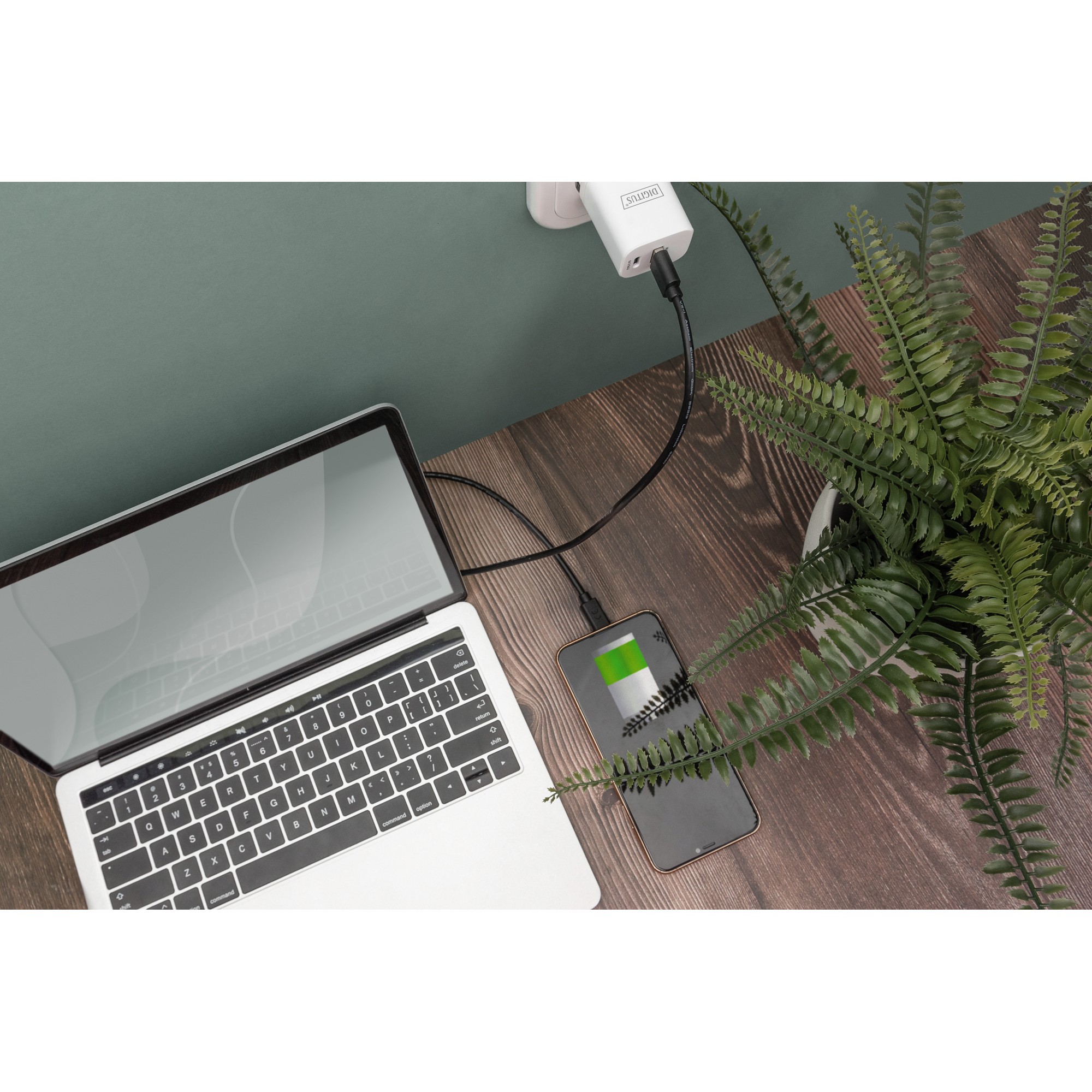 Kabllo USB  DIGITUS USB 2.0 Connection Cable Type C–A M/M 3.0m  - Zezë - Figura 3