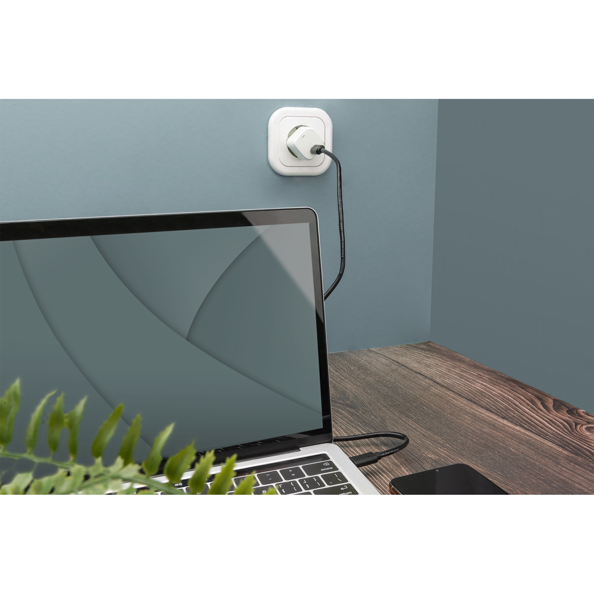 Kabllo USB  DIGITUS USB 2.0 Connection Cable Type C–C M/M 3.0m - Zezë - Figura 2