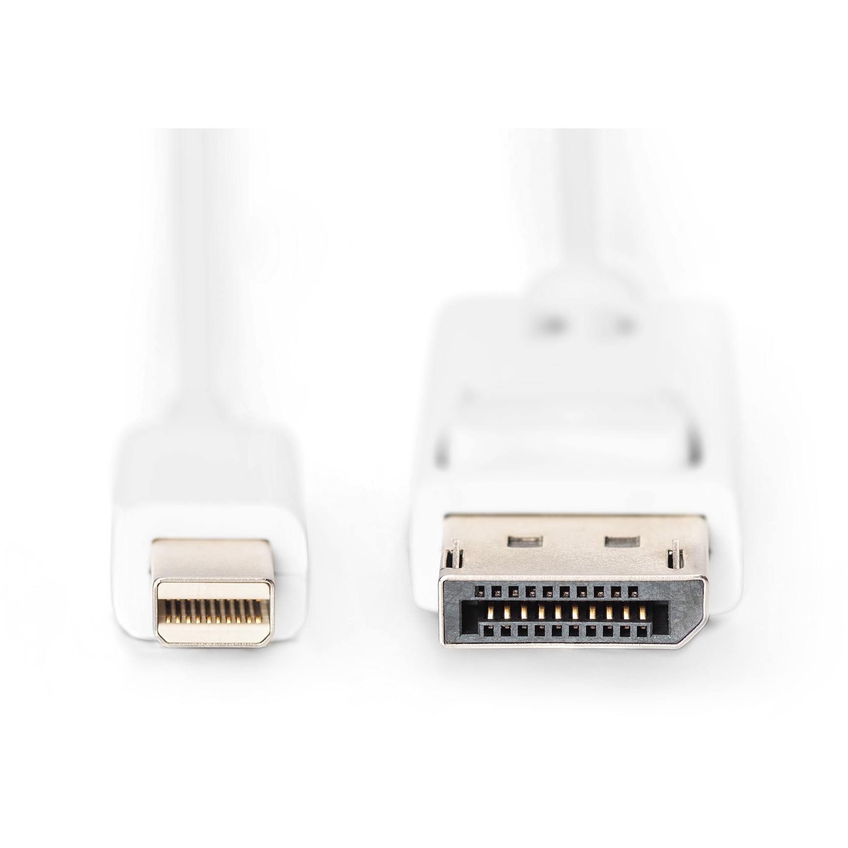 Kabllo DisplayPort DIGITUS Mini to DisplayPort Cable Male/Male 3m DP 1.1a / Polybag – Bardhë - Figura 2