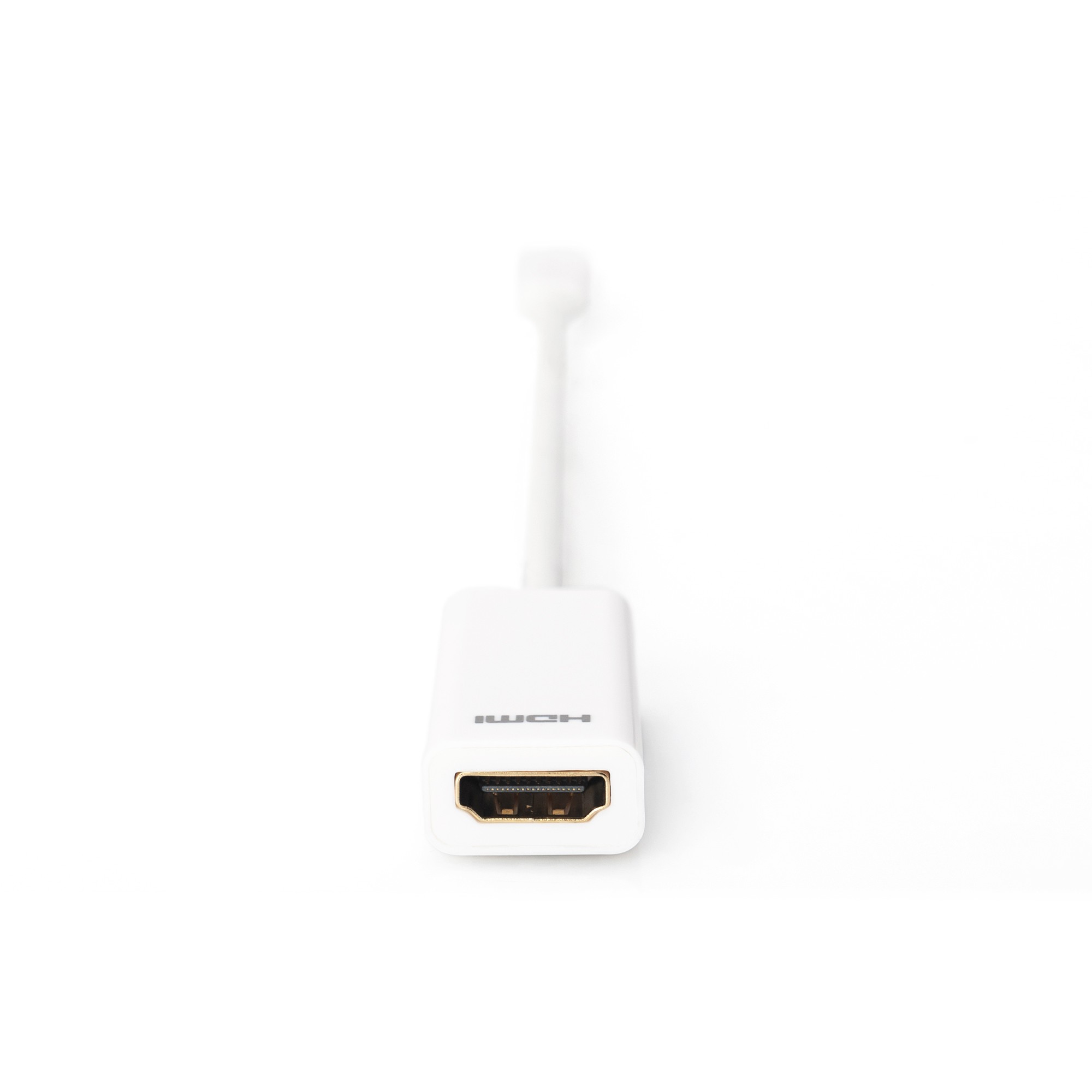 Kabllo DisplayPort DIGITUS Mini to HDMI-A Adapter Male/Female 0.15m – Bardhë - Figura 3