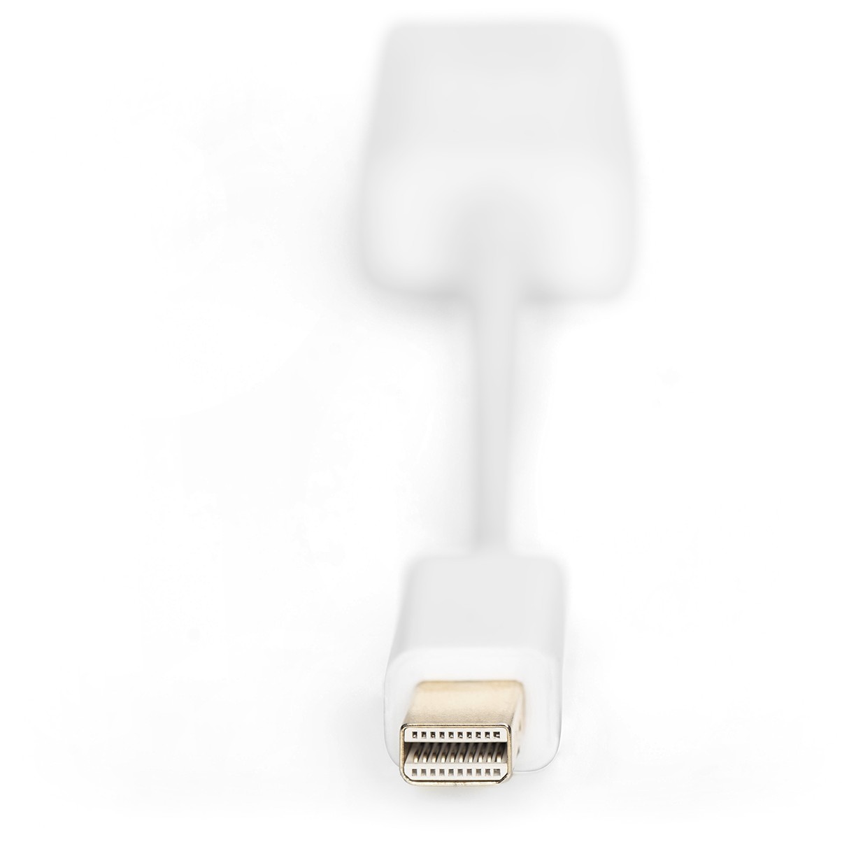 Kabllo DisplayPort DIGITUS Mini to HDMI-A Cable Male/Female 0.15m - Figura 3