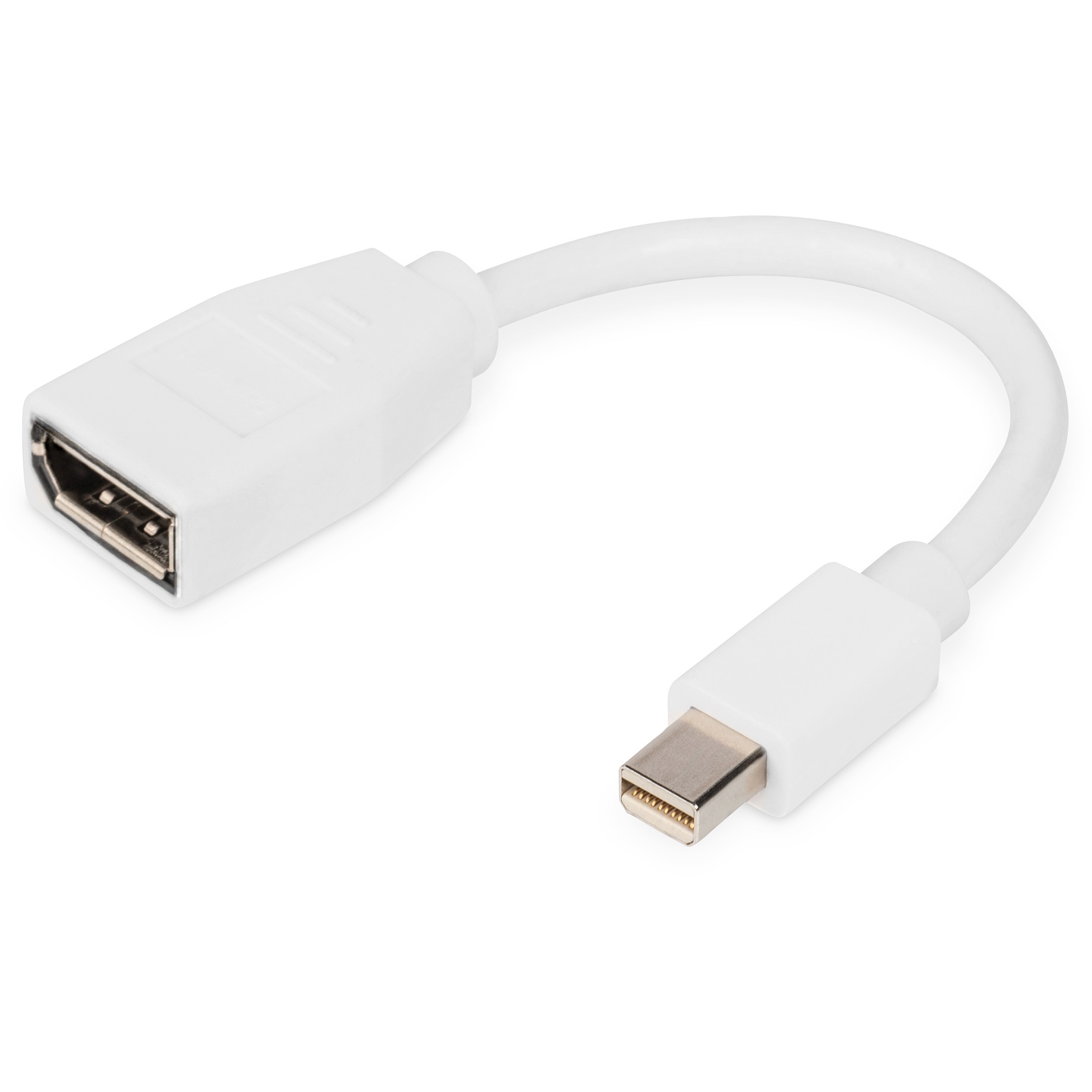 Kabllo DisplayPort DIGITUS Mini to DisplayPort Cable Male/Female 0.15m – Bardhë