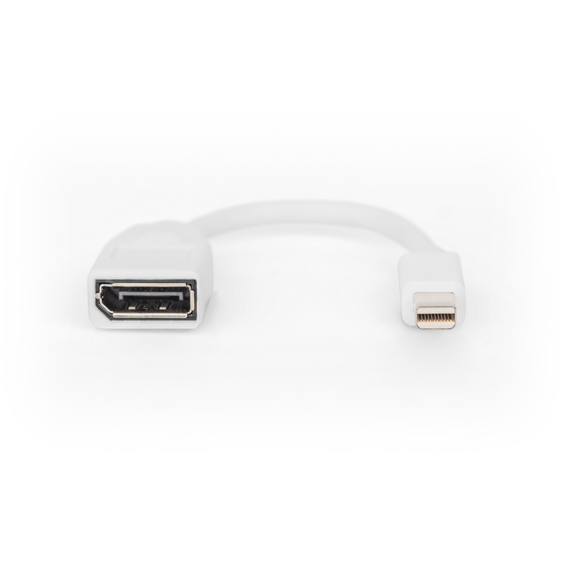 Kabllo DisplayPort DIGITUS Mini to DisplayPort Cable Male/Female 0.15m – Bardhë - Figura 2