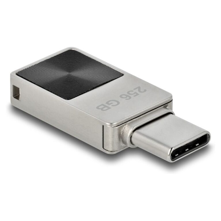 USB Flash Drive DELOCK Mini 5 Gbps USB-C / 256GB – Zezë/Gri