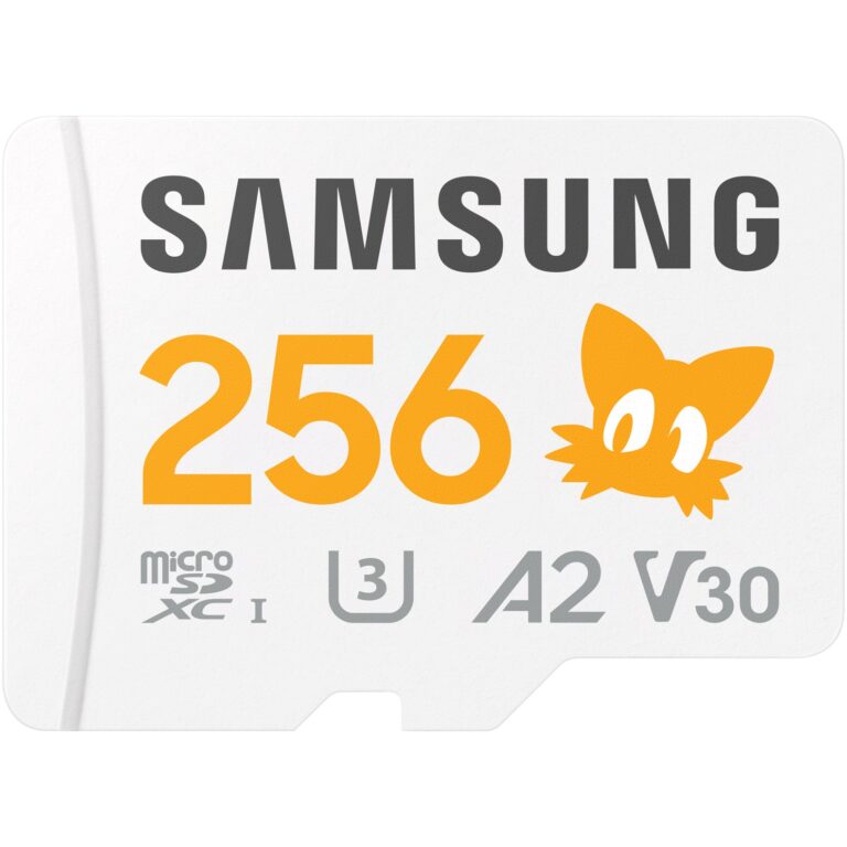 Kartë memorie SD CARD Micro 256GB Samsung Sonic inkl. Adapter