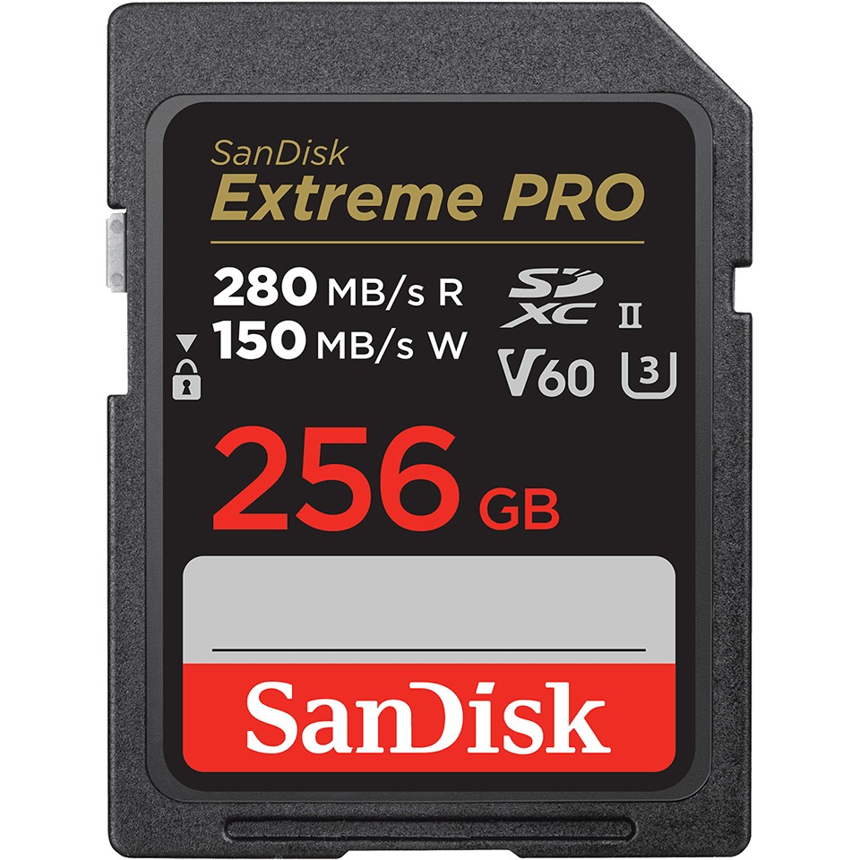 Kartë memorie SD CARD PRO 256GB V60 UHS-II S