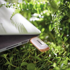 USB Flash Drive STICK Intenso Green Line 64 GB