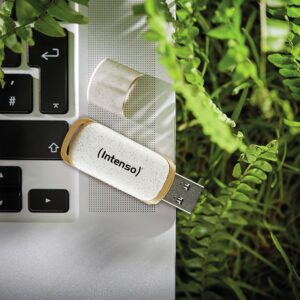 USB Flash Drive STICK Intenso Green Line 64 GB