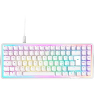 Tastierë Gaming NZXT Function Elite MiniTKL / DE layout / NZXT Swift / Bardhë