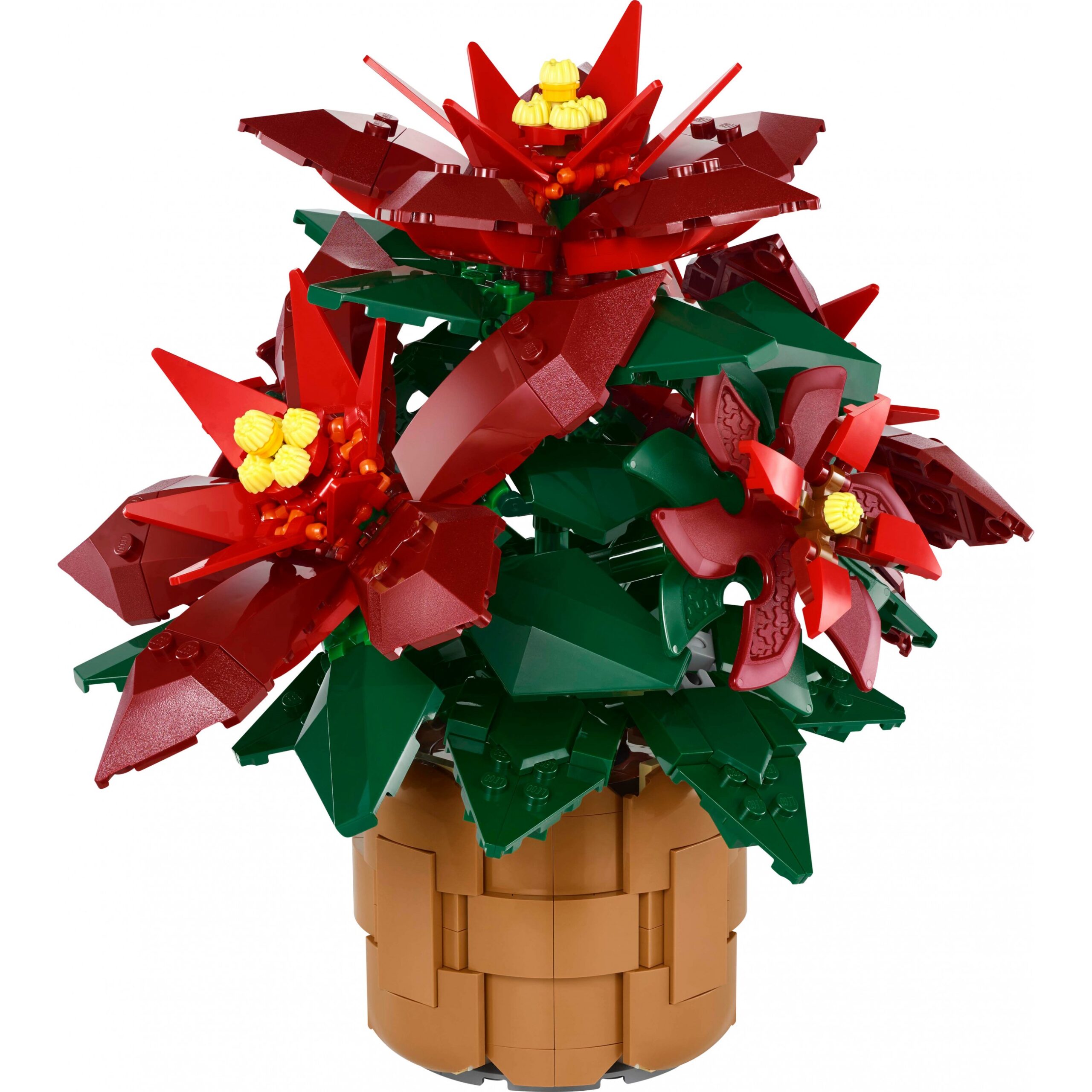 LEGO 10370 Icons Poinsettia - Figura 2