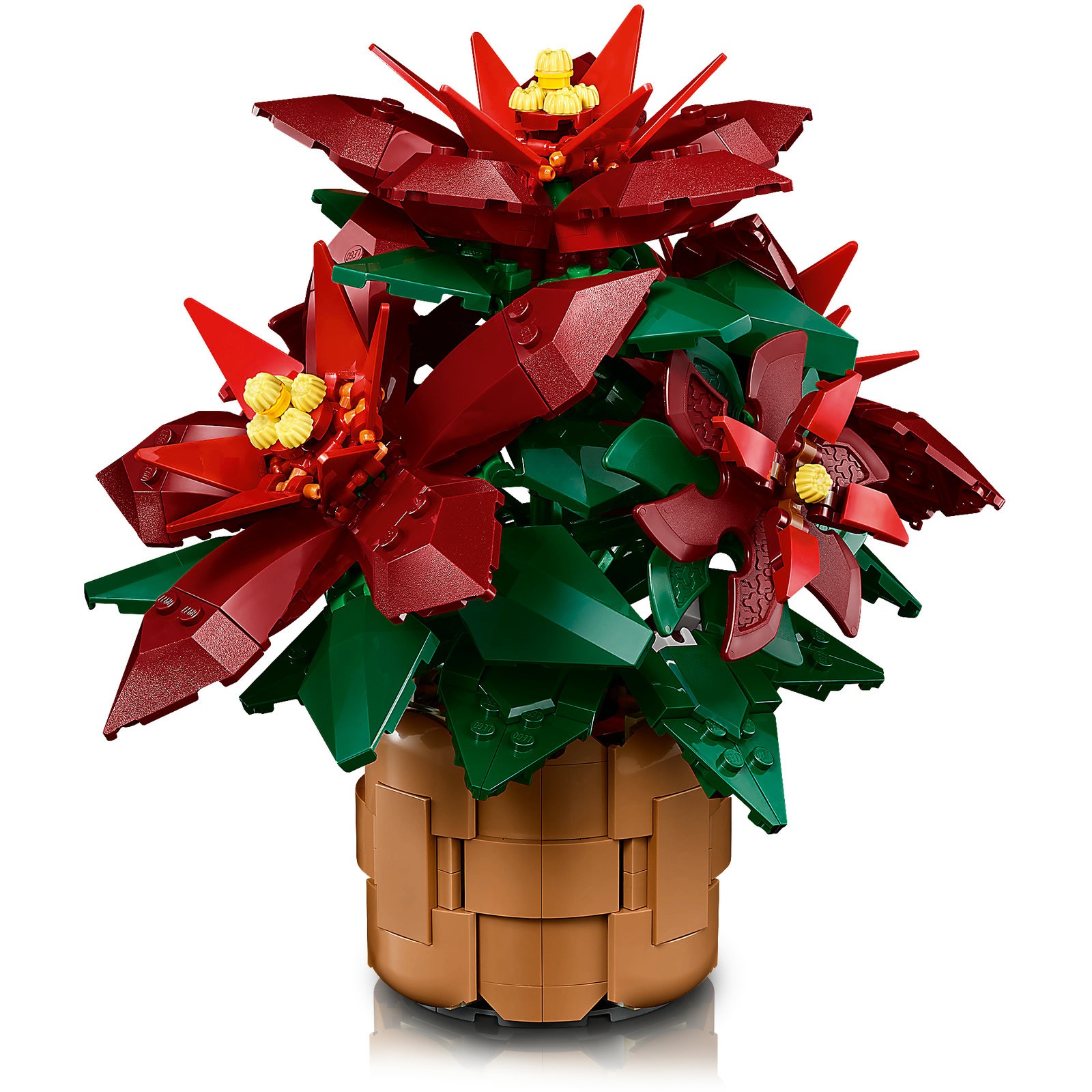 LEGO 10370 Icons Poinsettia - Figura 4