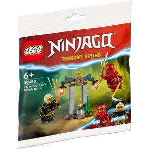 LEGO set 30650 is Kai and Rapton's Temple Battle
