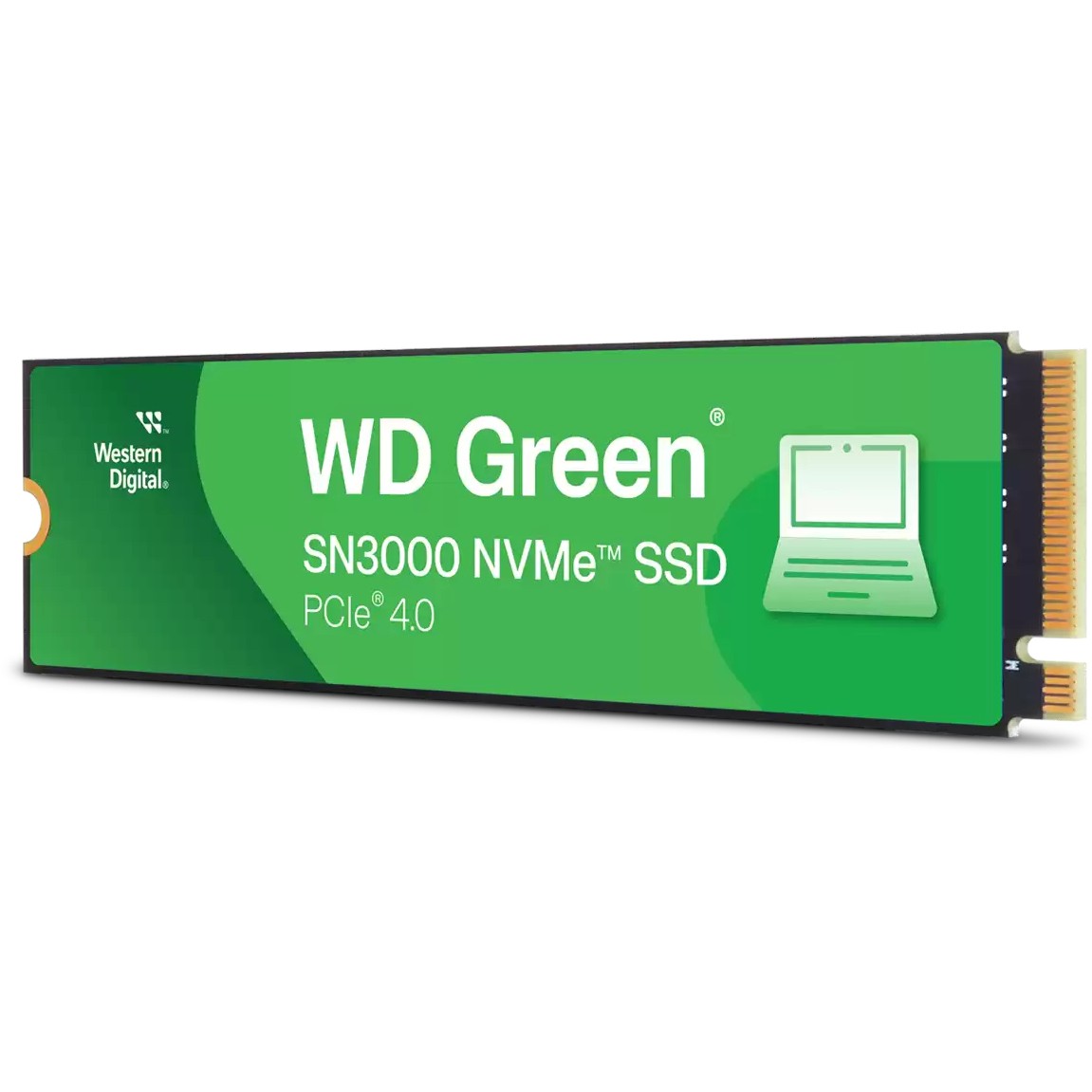 SSD e brendshme M.2 WD Green SN3000 NVMe SSD 500GB 2280