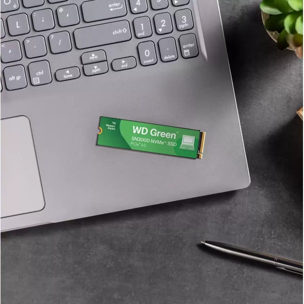 SSD e brendshme M.2 WD Green SN3000 NVMe SSD 500GB 2280 - Figura 3