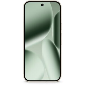 Google Pixel 10 Pro XL / 256GB – Gjelbër