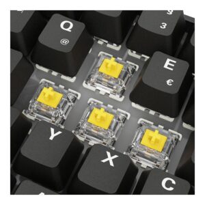 Tastierë Gaming Sharkoon Skiller SGK50S4 Gen2 PBT / Wired / QWERTZ / German Language – Zezë 6