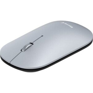 Maus pa Kabllo Wortmann TERRA Mouse NBM1000S / Bluetooth / Ambidextrous - Argjend