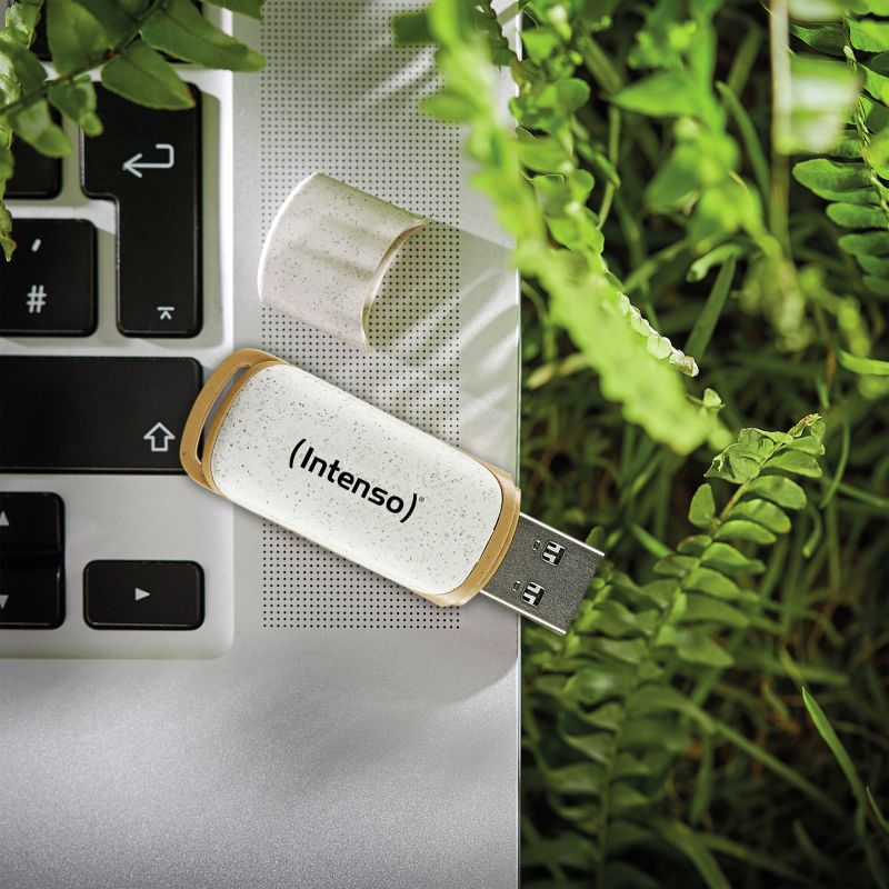 USB Flash Drive / Intenso / 128GB / USB 3.2 Gen 1 / Green Line / Bezhë-Kafe - Figura 4