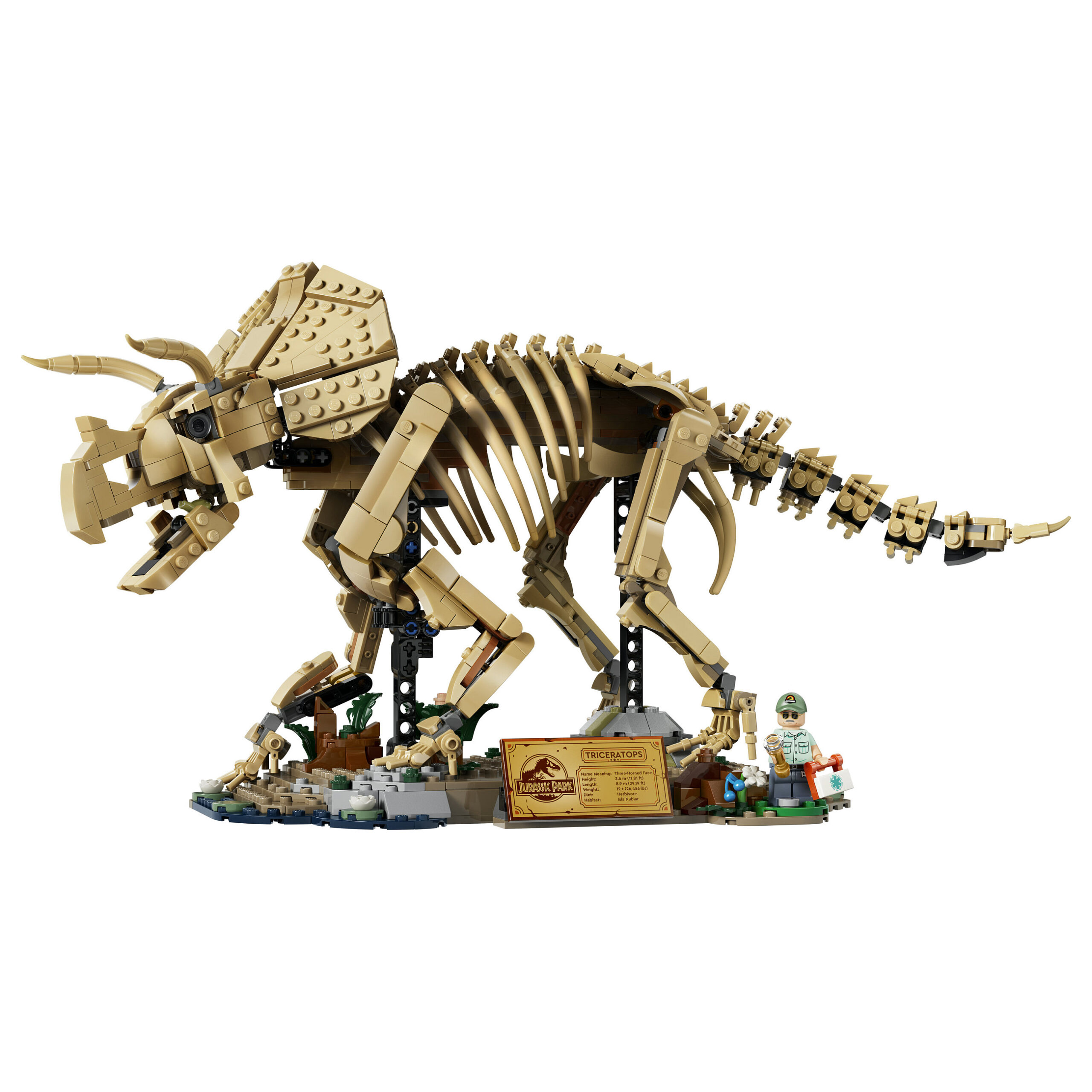 LEGO Dinosaur Fossils: Tricerato 77985 - Figura 2