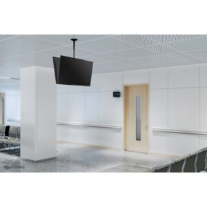 Mbajtëse për TV Double ceiling mount for flat screens/TVs 32' to 75" 2x 50KG Black Neomounts