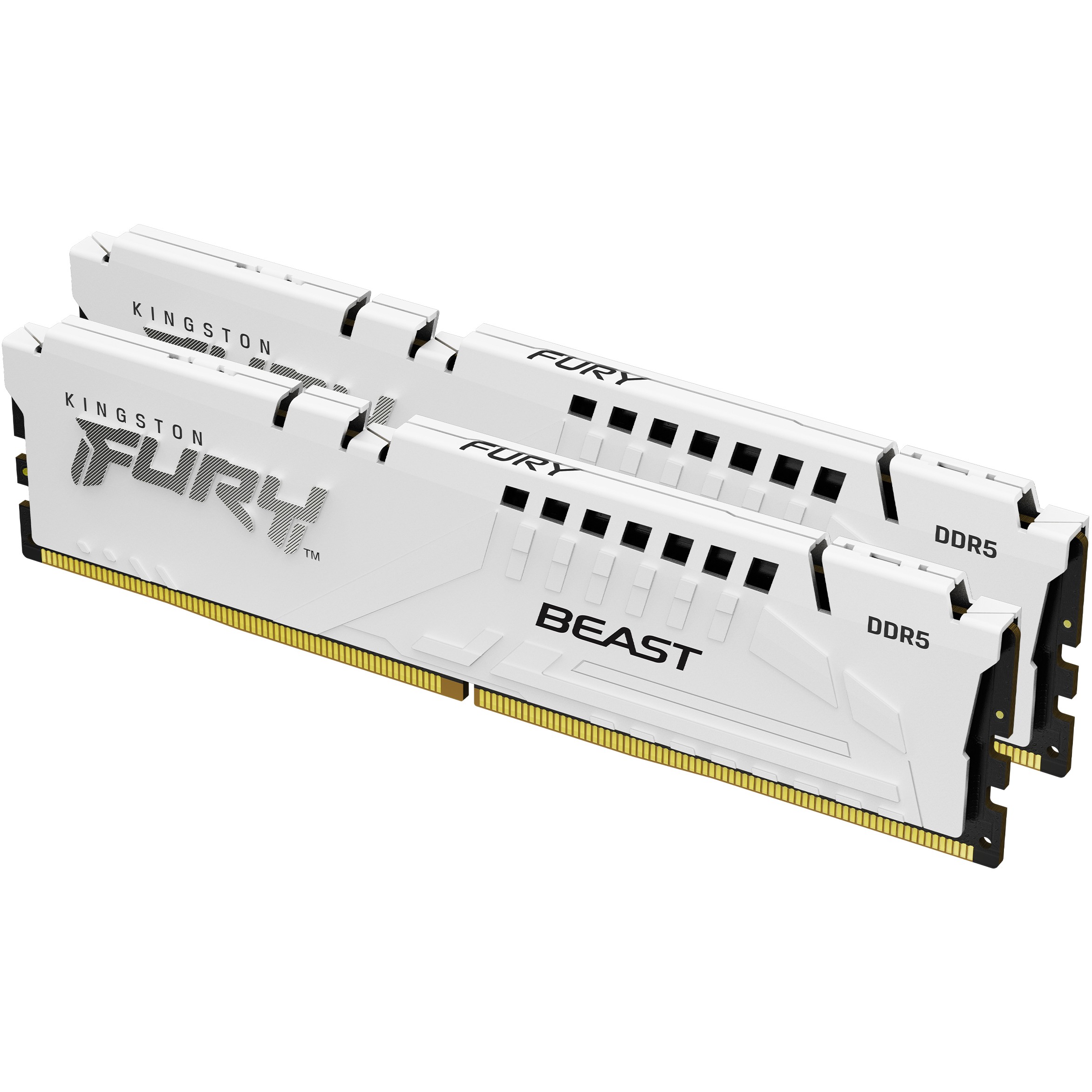 RAM Memorie DDR5 / 32GB / 6000MT/s / CL36 / DIMM / Kingston / FURY Beast / AMD EXPO / (2x16GB)