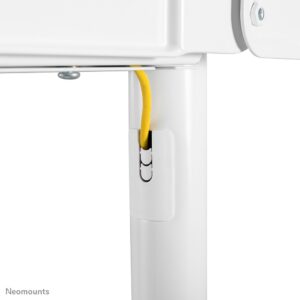 Mbajtëse për TV Neomounts NS-M1250WHITE Mobile floor stand for flat screen TVs up to 70" (178 cm) 70KG