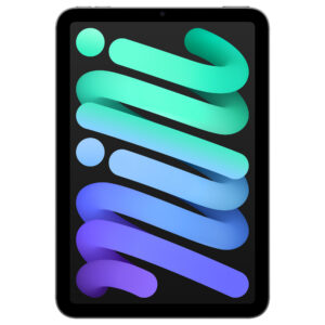 Apple iPad Mini / Wi-Fi / 256GB – Space Grey