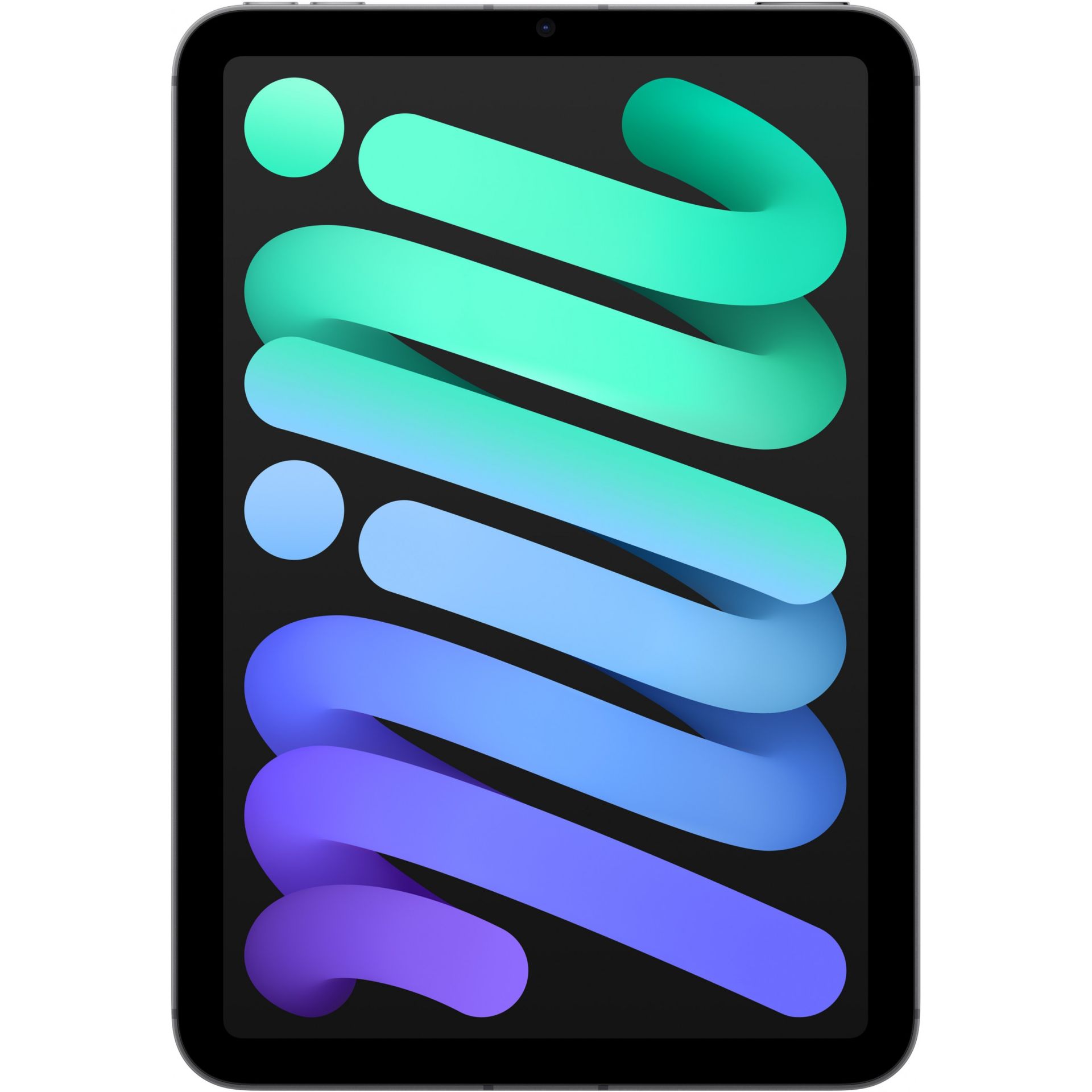 APPLE iPad mini Wi-Fi + Cellular / 256GB - Space Grey