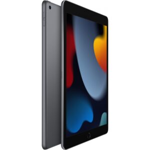 Tablet Apple iPad 10.2 A13 Wi-Fi 256GB 9.Gen Gri
