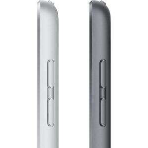 Tablet Apple iPad 10.2 A13 Wi-Fi 256GB 9.Gen Gri