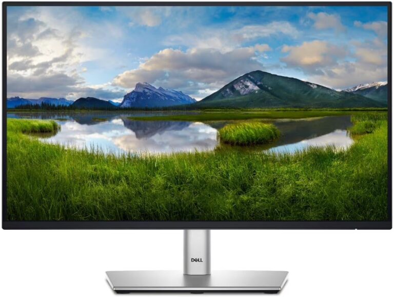 Monitor Dell P2422H / 23.8"/ Full HD IPS LCD / 60Hz / 5ms