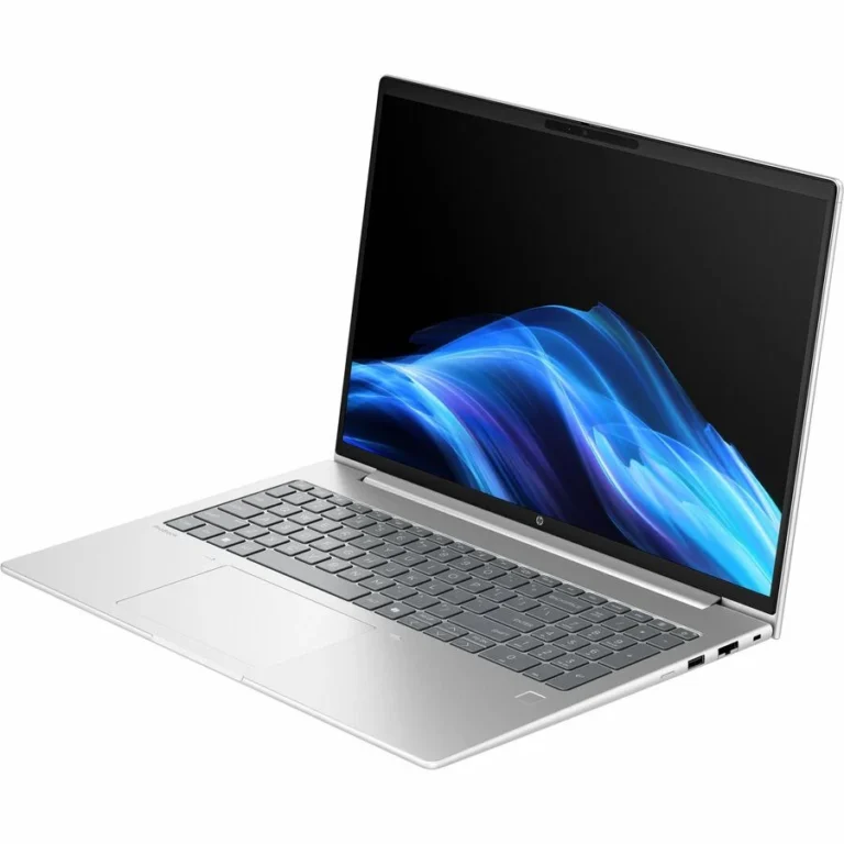 Laptop HP ProBook 4 G1a / Ryzen 5 220 / 16GB DDR5 / 512GB / 16" WUXGA IPS 60Hz / AMD Radeon 740M - Pike Silver