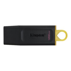 USB Flash Drive Kingston 128GB DTXS - Zezë/Verdhë