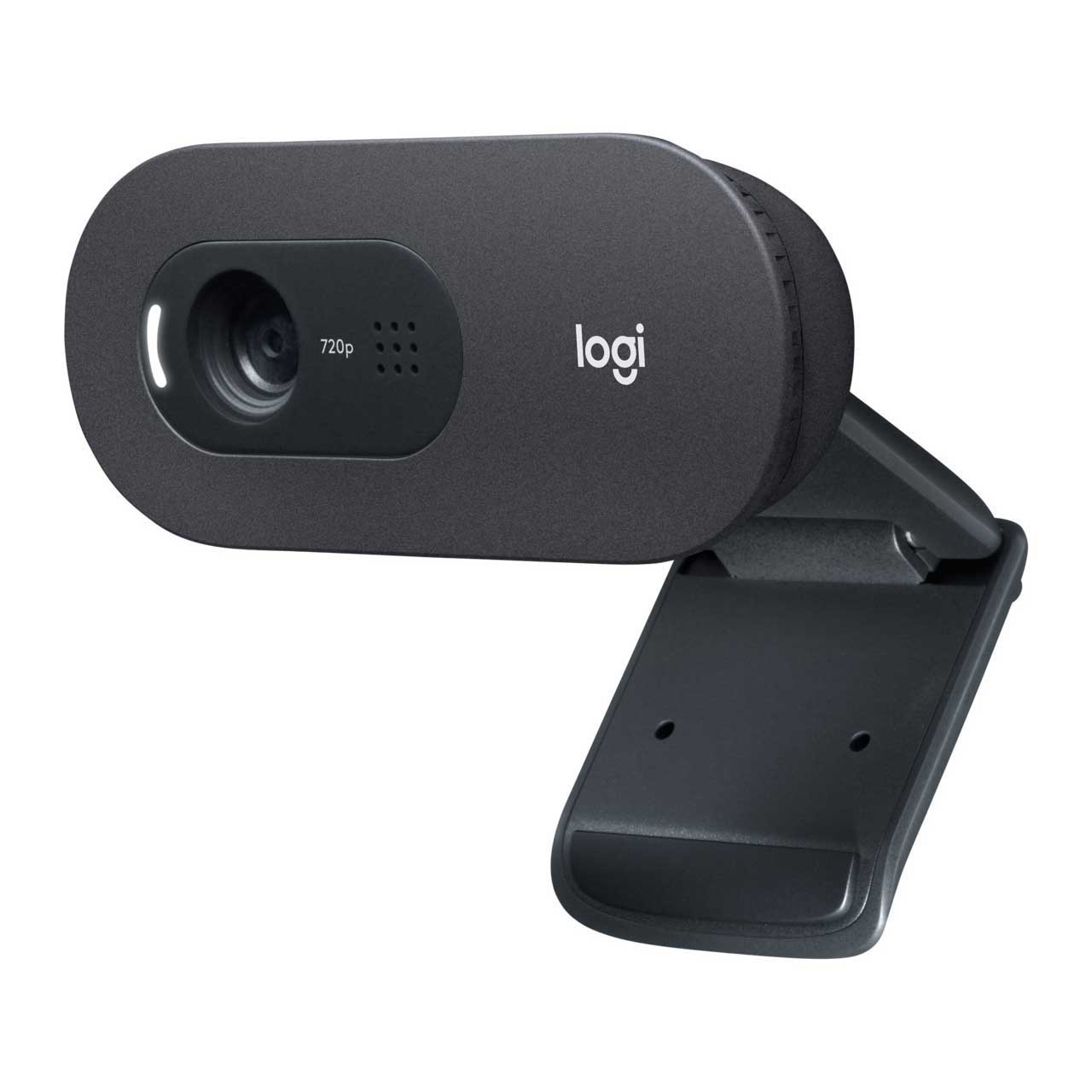Webcam Logitech Outer box 470X315X305 2.44EB - Figura 2