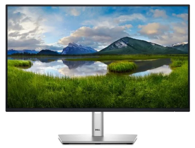 Monitor Dell P2425H / 24''/ Full HD IPS / 100Hz / 5ms / HDMI+USB+DP - Zezë/Argjend