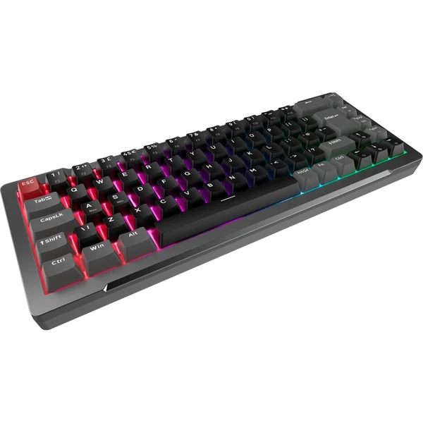 Tastierë Gaming RAIJINTEK MGA-68 / Hejin Magnetic Yellow Switch / QWERTY DE Layout – Zezë