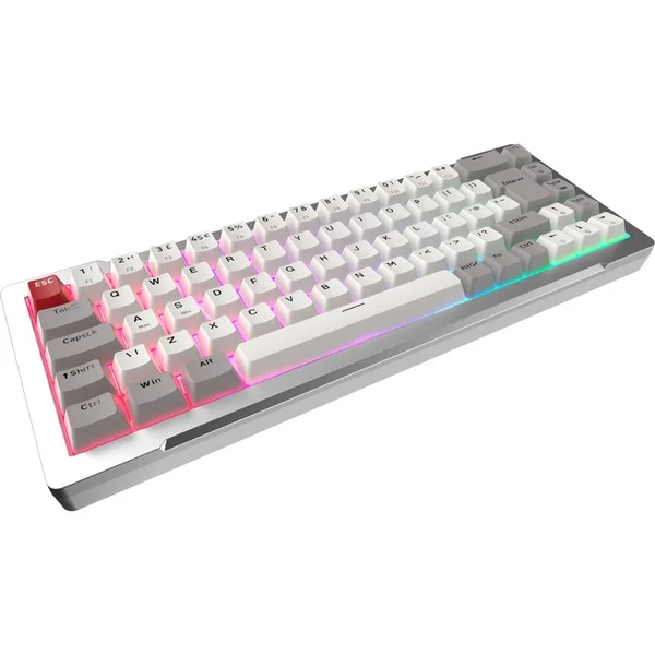 Tastierë Gaming RAIJINTEK MGA-68 / Hejin Magnetic Yellow Switch / QWERTY DE Layout – Argjend