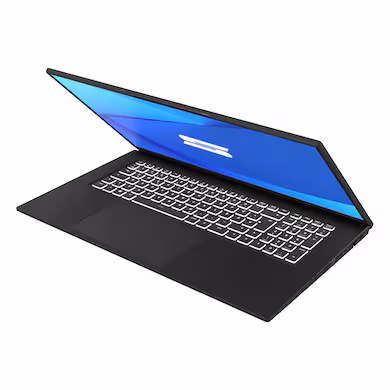 Laptop Schenker WORK 17-M23qks / i7-1360P / 16GB DDR5 / 1TB / 17.3″ Full HD IPS 60Hz / Intel Iris Xe Graphics – Zezë 4