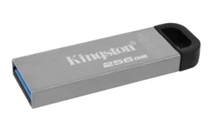 USB Flash Drive Kingston DataTraveler Kyson – 256GB / Gen 1 - Argjend