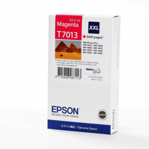 INK Epson T7013 / XXL – Rozë
